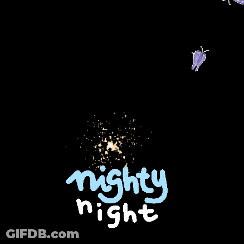 Pretty Fairy Night Night GIF