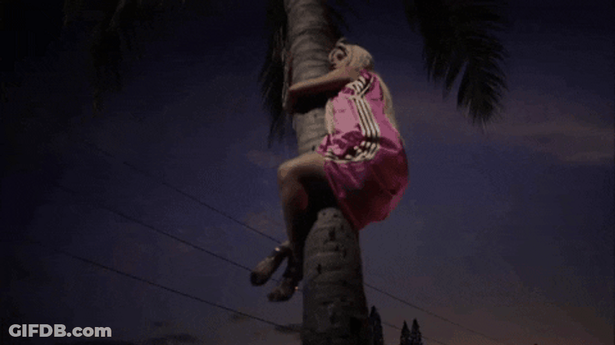 Pretty Lady Hanging On Palm Tree GIF