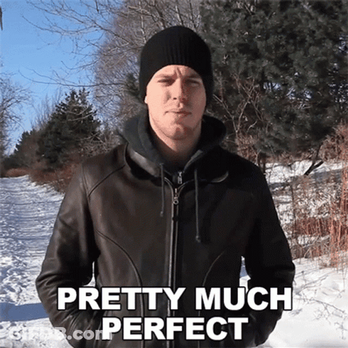 Pretty Much Perfect Corey Vidal GIF