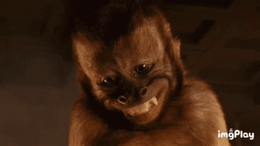 Pretty Please Funny Monkey GIF
