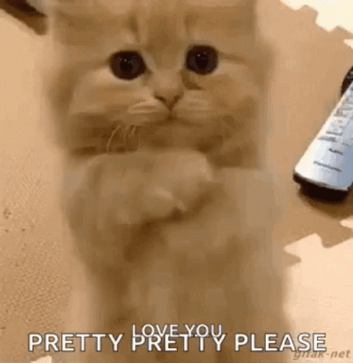 Pretty Please Love You GIF