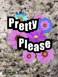 Pretty Please Poster With Flowers GIF