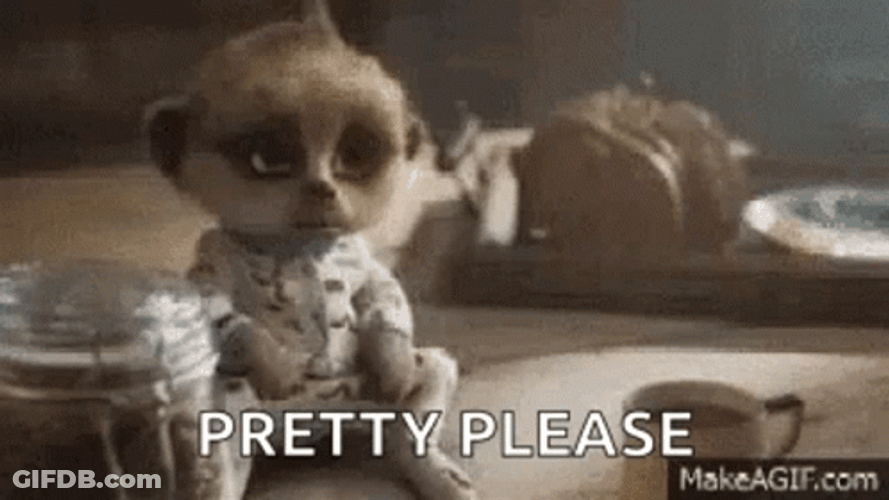 Pretty Please Sad Meerkat GIF