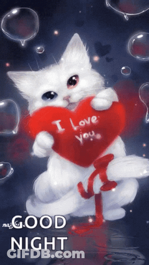 Pretty White Cat Love Dobranoc GIF