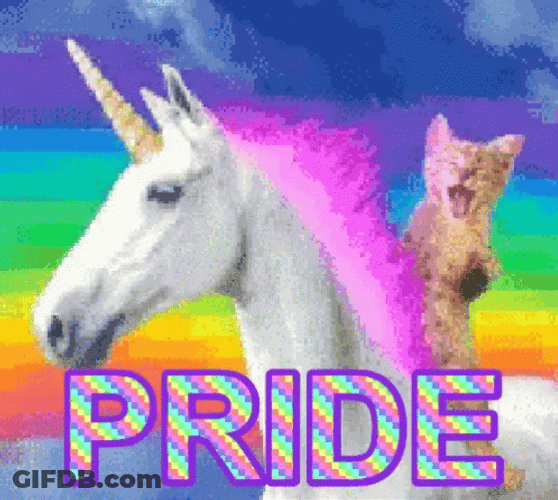 Pride Cat Riding A Unicorn GIF