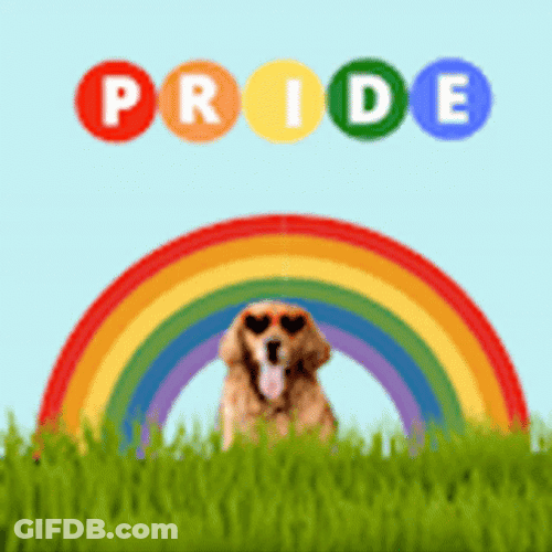 Pride Dog Rainbow GIF