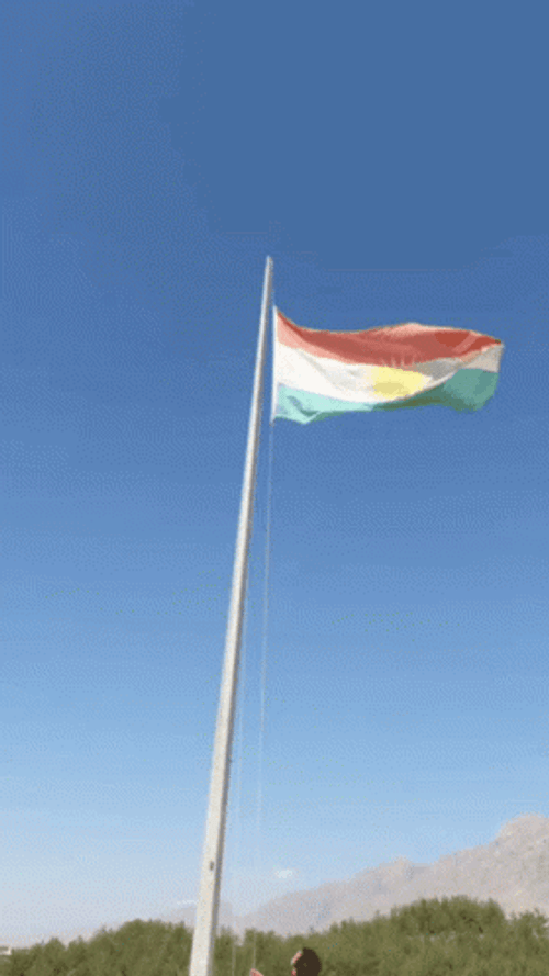 Pride Flag Waving Flag GIF