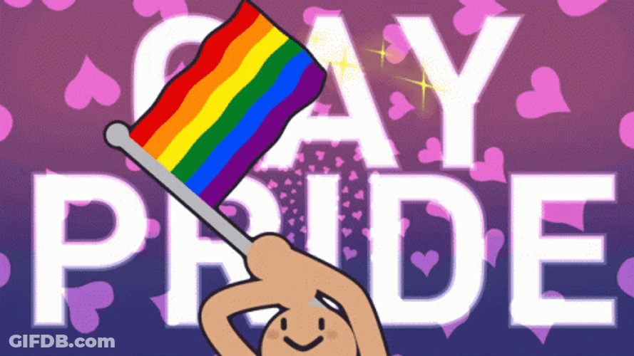 Pride Gay Flag Day Meme GIF