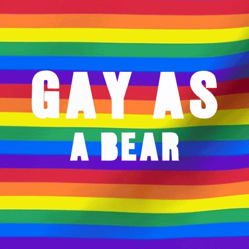 Pride Jonathan Rosen Gay Pride GIF