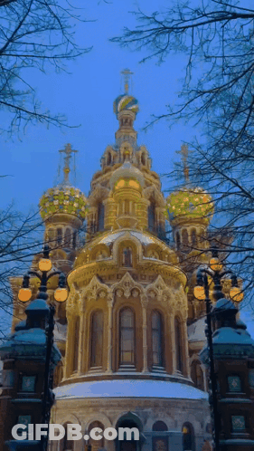 Priest Sitting At Church Altar With Statues GIF