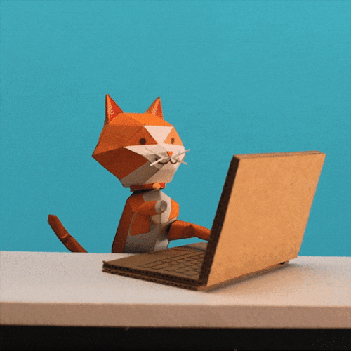Prime Day Cat On A Laptop GIF