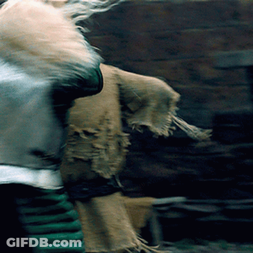 Prince Aegon Targaryen Practicing Sword Fight GIF