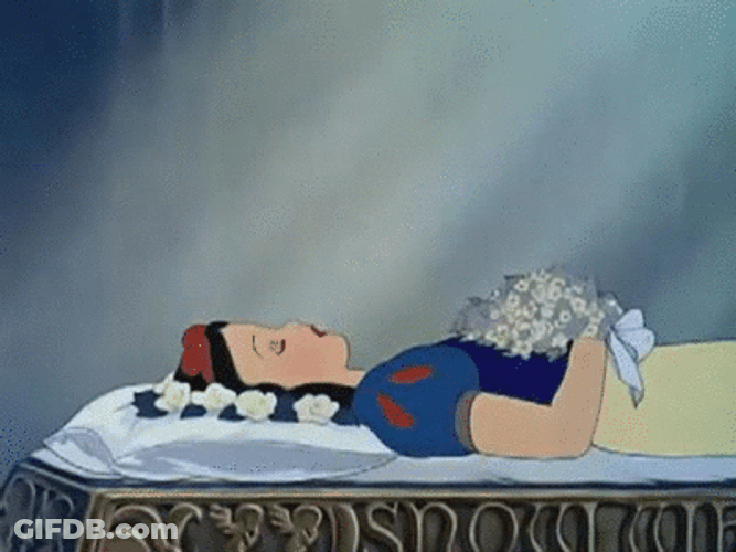 Prince Ferdinand Snow White Disney Princess GIF
