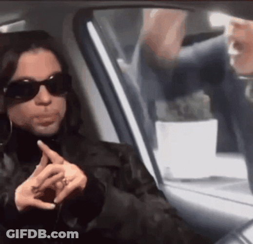 Prince Ignoring The Girl Outside The Car GIF