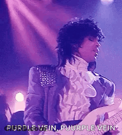 Prince Is Playing A Guitar On Stage And Singing Purple Vein Purple Vein . GIF