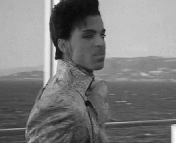 Prince Sassy Look GIF