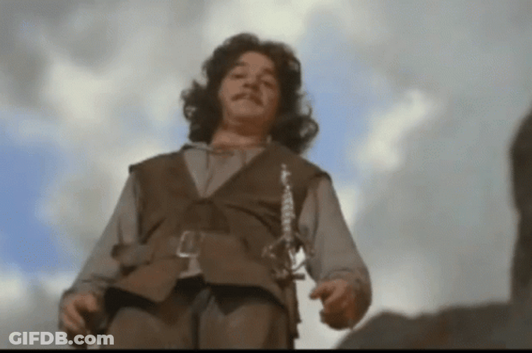 Princess Bride I Hate Waiting GIF