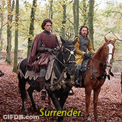 Princess Bride Surrender GIF