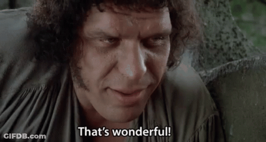 Princess Bride That's Wonderful GIF