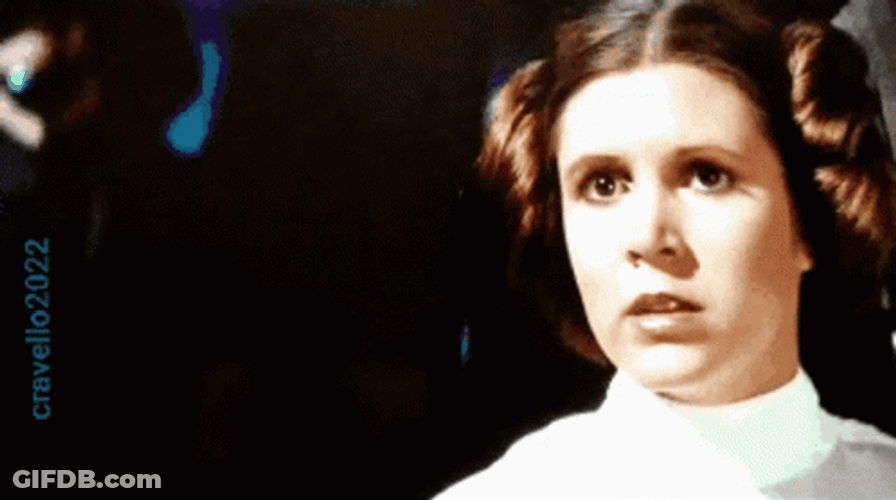 Princess Leia Shouting What Did He Say GIF