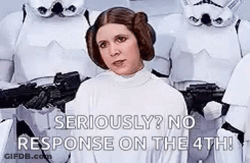 Princess Leia Standing Before Stormtroopers GIF
