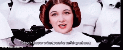 Princess Leia Talking To Stormtroopers GIF