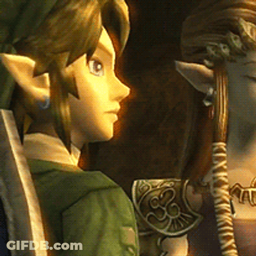 Princess Zelda And Link GIF
