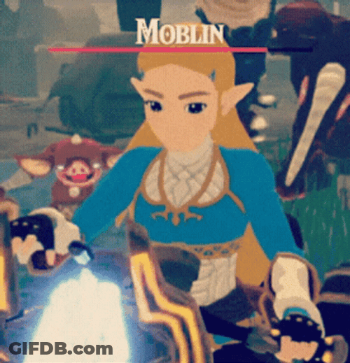 Princess Zelda Totk GIF