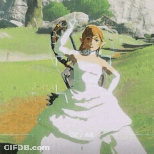 Princess Zelda With Bow GIF