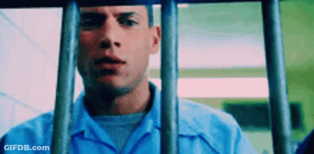 Prison Break Michael Scofield GIF
