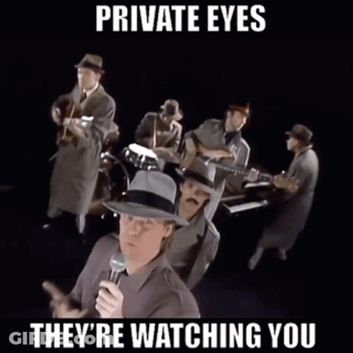 Private Eyes Always Watching GIF