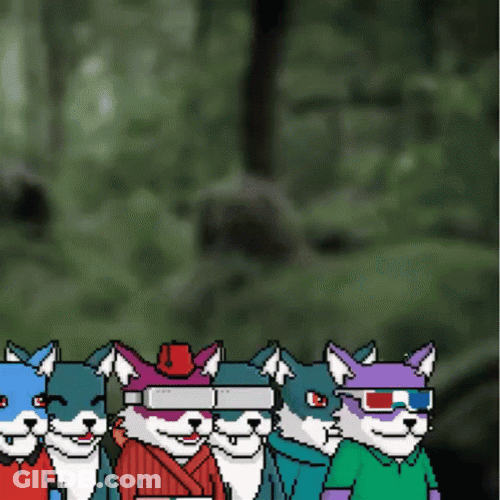 Private Foxes Raid Time GIF