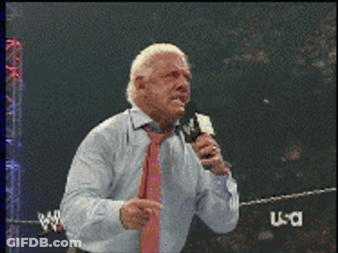 Pro Wrestler Ric Flair GIF