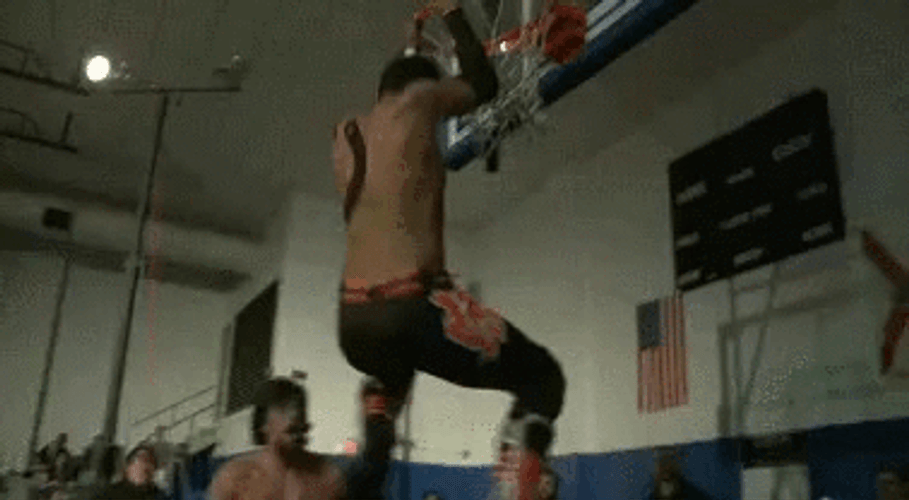 Pro Wrestling Action GIF
