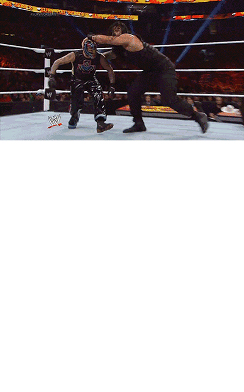 Pro Wrestling Action Meme GIF