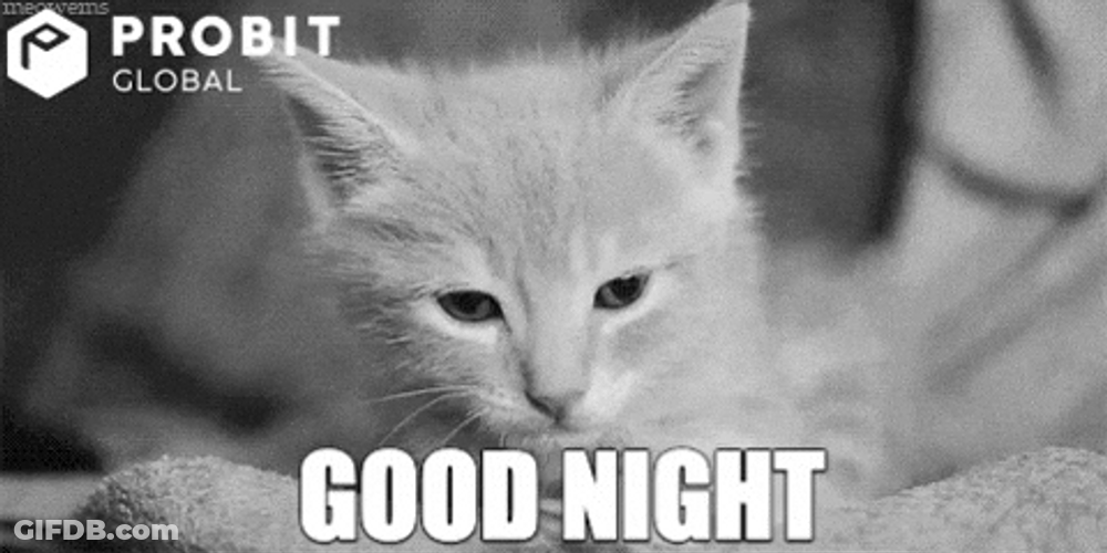 Probit Global Goodnight Cat GIF