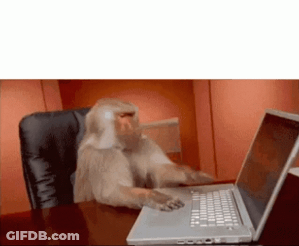 Problematic Monkey Typing Meme GIF