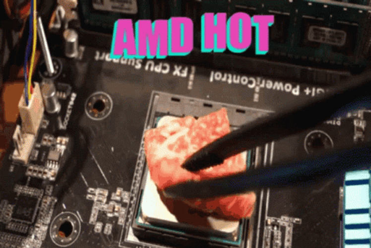 Processor Cooking AMD Hot GIF