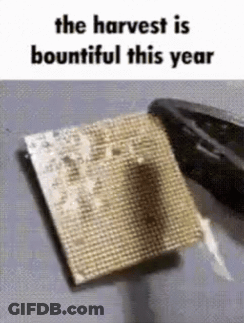 Processor Harvest Is Bountiful GIF