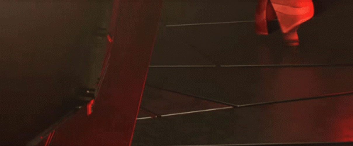 Prodigy Cat With His Amazing Reaction GIF