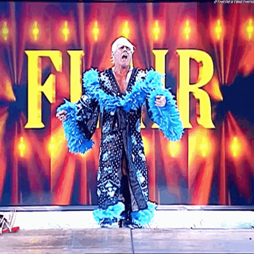 Professional Wrestler Ric Flair GIF