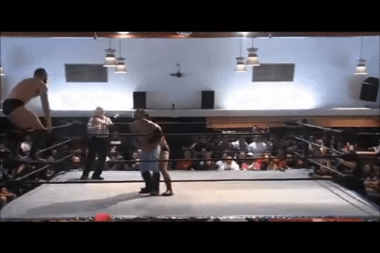 Professional Wrestling Match GIF