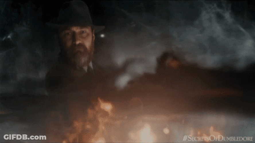 Professor Dumbledore Stop GIF