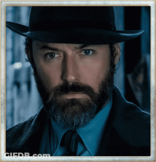 Professor Dumbledore Transition GIF