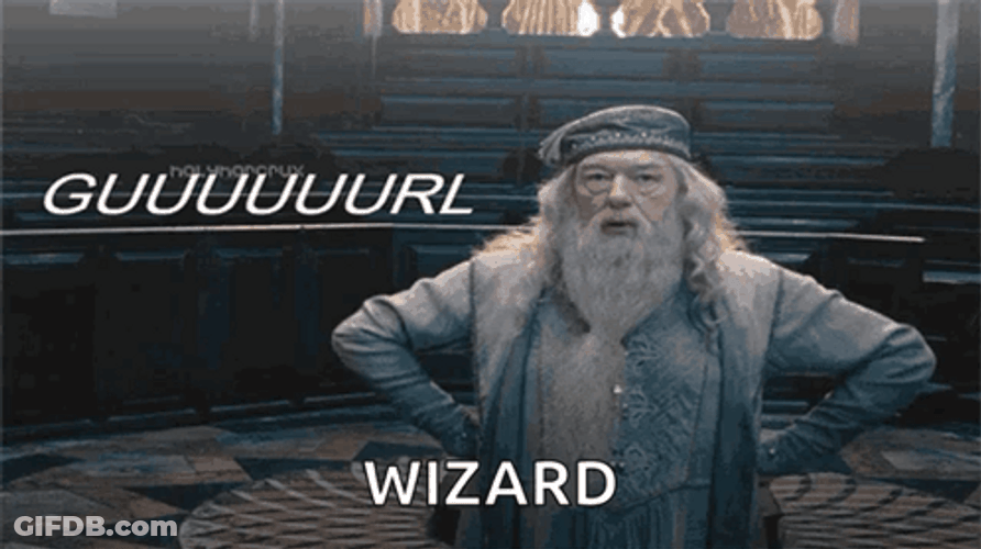 Professor Dumbledore Wizard GIF
