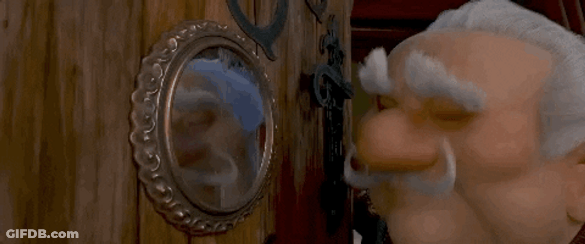 Professor Lavrof In The Mirror GIF