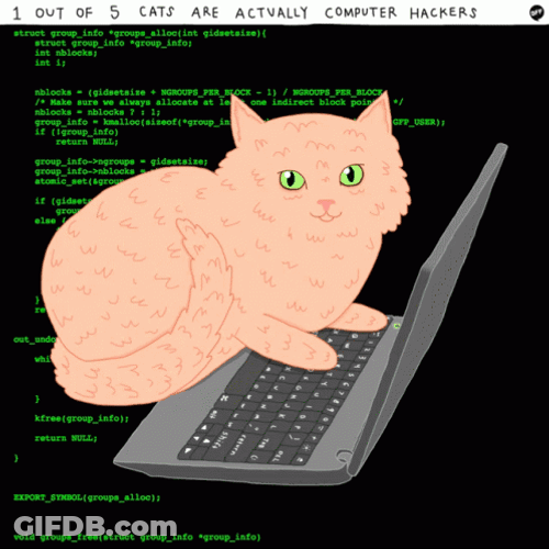 Programmer Cat Hacker Screen GIF