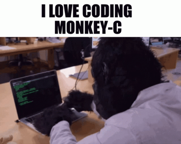 Programming Monkey-C Typing Codes GIF