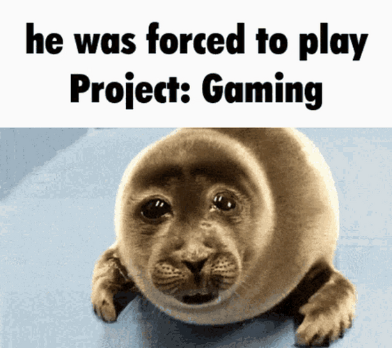 Project Gaming Play GIF
