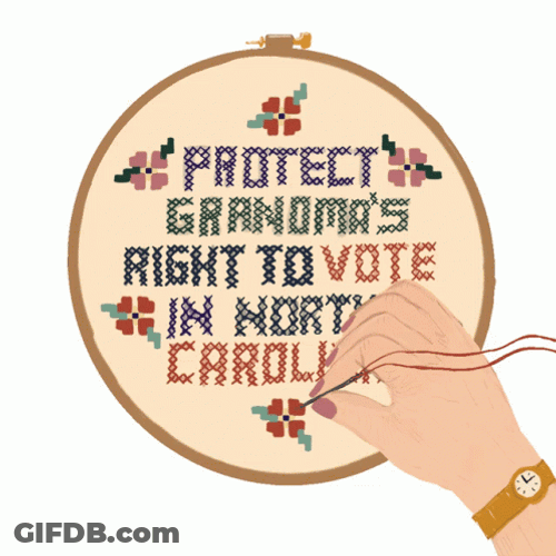 Project Grandma's Right To Vote Senior Citizen GIF